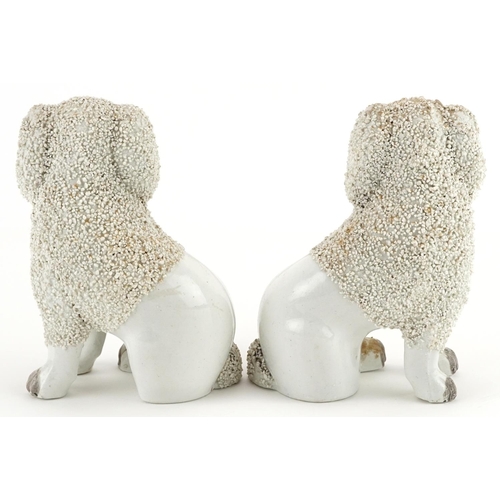 477 - Pair of Victorian Staffordshire pottery Poodles, each 14cm high