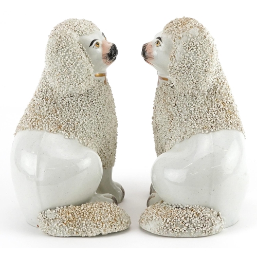 477 - Pair of Victorian Staffordshire pottery Poodles, each 14cm high