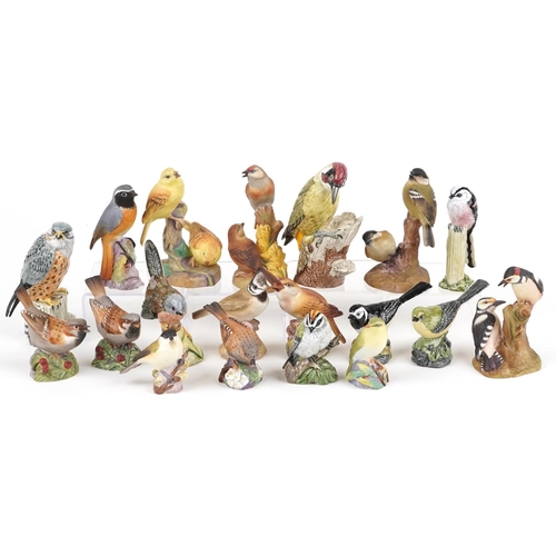 693 - Collection of Royal Worcester and Mack hand painted porcelain birds including Redstart, Nightingale,... 