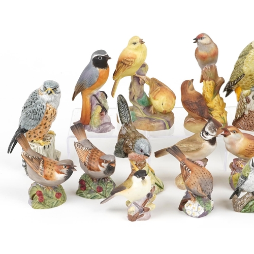 693 - Collection of Royal Worcester and Mack hand painted porcelain birds including Redstart, Nightingale,... 