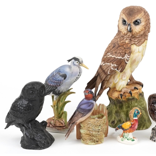 692 - Bird sculptures, predominantly hand painted porcelain including Albany Fine China Little Owl modelle... 