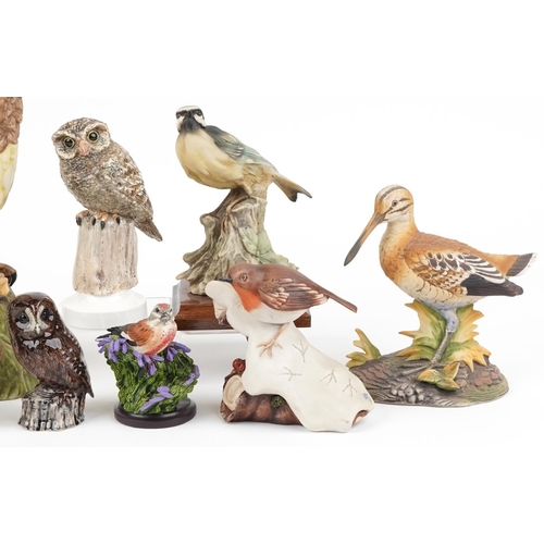 692 - Bird sculptures, predominantly hand painted porcelain including Albany Fine China Little Owl modelle... 