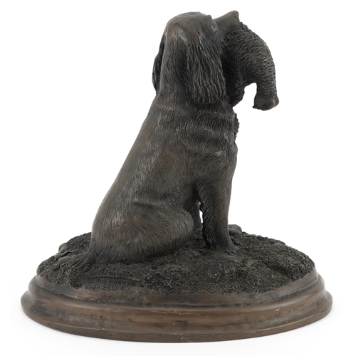 470A - David Hughes, contemporary cold cast bronze statue of a gundog with it's catch, limited edition of 2... 