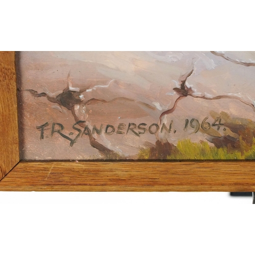 1359 - T R Sanderson 1964 - Lake District Cumbria, mixed media, inscribed verso, framed and glazed, 53.5cm ... 