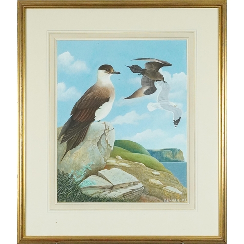 809 - D S Harris 1992 - Coastal scene with gulls, wildlife interest watercolour, mounted, framed and glaze... 