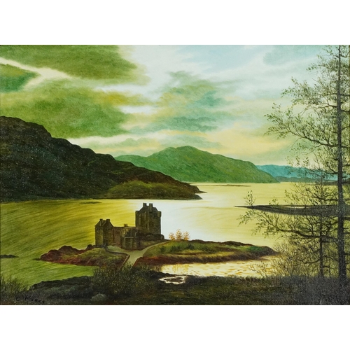1231 - C Meres - Dornie Wester Ross, castle and loch Scotland, oil on board, inscribed verso, framed, 59.5c... 