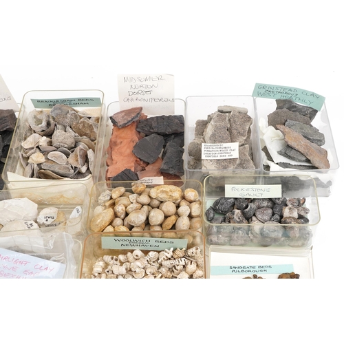 356 - Large collection of Natural history and Geology interest fossils and shells including Orbirhynchia m... 
