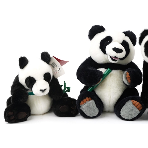 1612 - Hermann teddy bear with growler and jointed limbs and three soft toy pandas, 42cm high