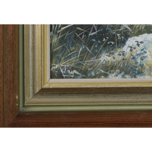 211 - Peter Jay - Snow, Track on the Marsh and Summer on the South Downs, three oil on boards including a ... 