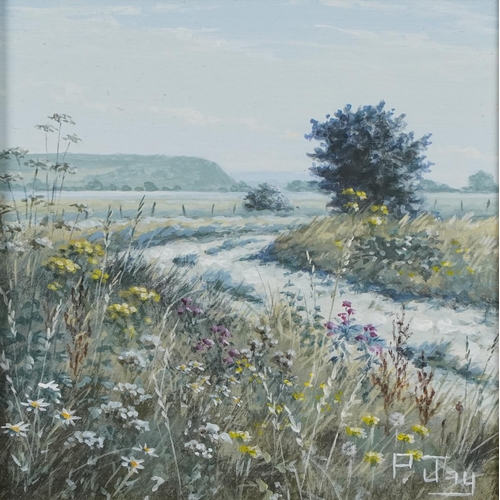 211 - Peter Jay - Snow, Track on the Marsh and Summer on the South Downs, three oil on boards including a ... 