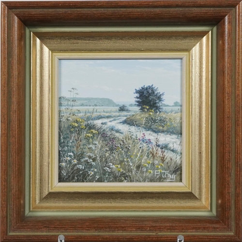 211 - Peter Jay - Snow, Track on the Marsh and Summer on the South Downs, three oil on boards including a ... 