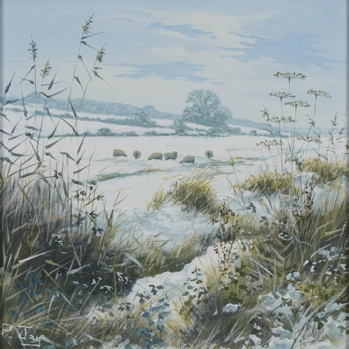 211 - Peter Jay - Snow, Track on the Marsh and Summer on the South Downs, three oil on boards including a ... 