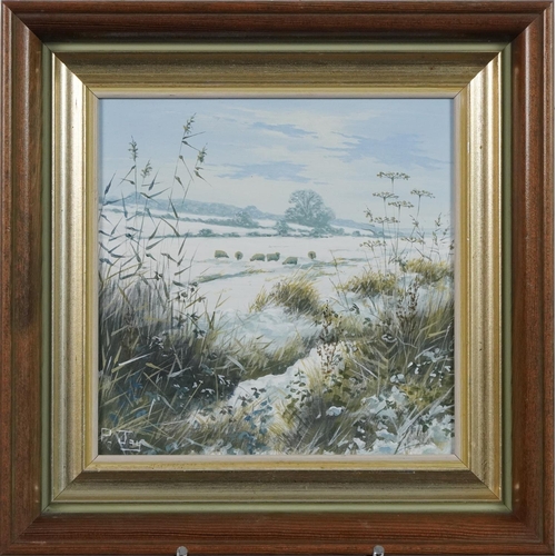 211 - Peter Jay - Snow, Track on the Marsh and Summer on the South Downs, three oil on boards including a ... 