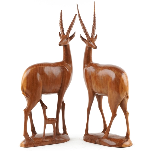 1394 - Large pair of carved hardwood antelopes, the largest 66cm high