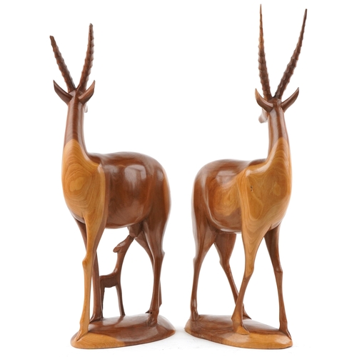 1394 - Large pair of carved hardwood antelopes, the largest 66cm high