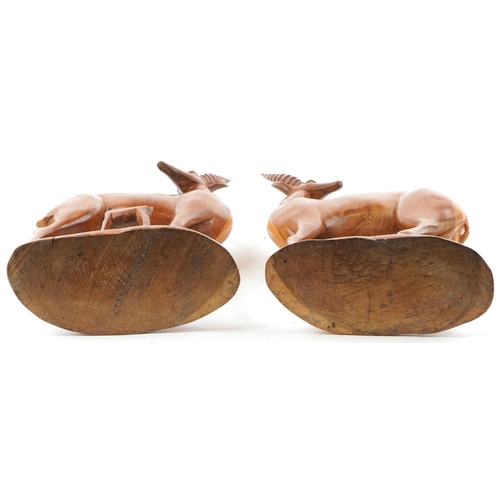 1394 - Large pair of carved hardwood antelopes, the largest 66cm high