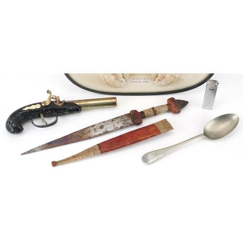 1570 - Sundry items including a taxidermy interest Attacus Atlas moth, Sudanese knife and a lighter in the ... 