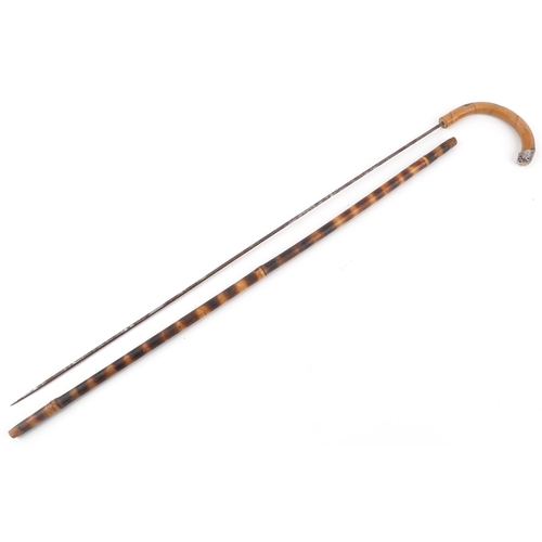 615A - Bamboo walking swordstick with steel blade and silver mount impressed Brigg, 84.5cm in length