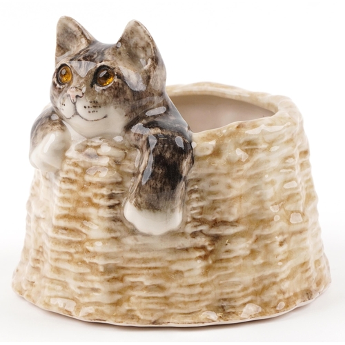 1253 - Winstanley pottery vase in the form of a cat climbing out of a basket, 17.5cm wide