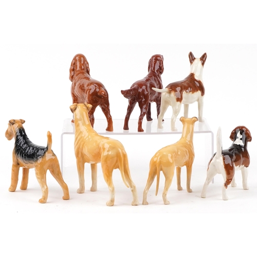 664 - Eight Beswick collectable dogs, some champions comprising Horseshoe Primula, Ruler of Duborough, Sug... 