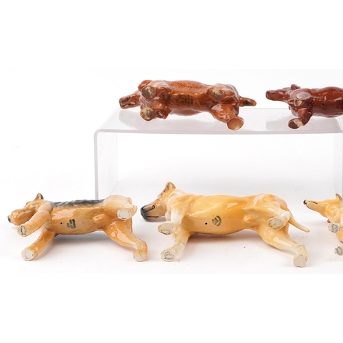 664 - Eight Beswick collectable dogs, some champions comprising Horseshoe Primula, Ruler of Duborough, Sug... 