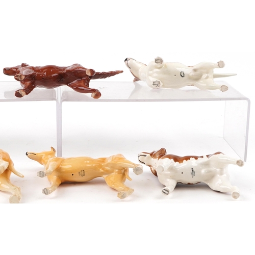 664 - Eight Beswick collectable dogs, some champions comprising Horseshoe Primula, Ruler of Duborough, Sug... 