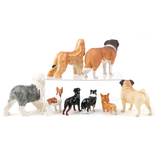 663 - Eight Beswick collectable dogs including Hajubah of Davlen, St Bernard with matte glaze and CH Cutmi... 