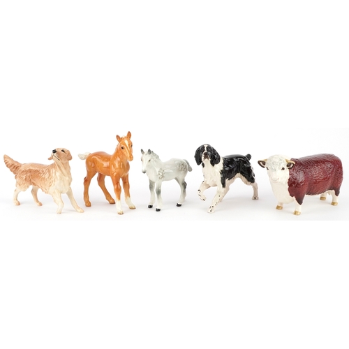 667 - Five Beswick collectable animals including Champion of Champions bull, English Springer Spaniel and ... 