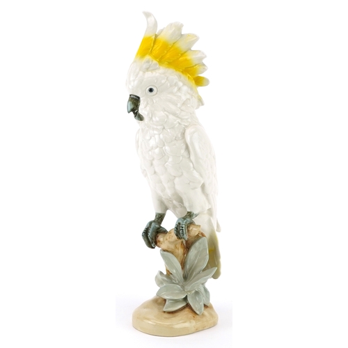 706 - Royal Dux, Czechoslovakian Art Nouveau cockatoo, numbered 402 51 to the base, 41cm high