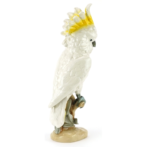 706 - Royal Dux, Czechoslovakian Art Nouveau cockatoo, numbered 402 51 to the base, 41cm high