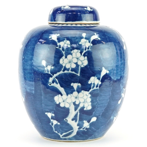 11 - Large Chinese blue and white porcelain ginger jar and cover hand painted with prunus flowers, Kangxi... 