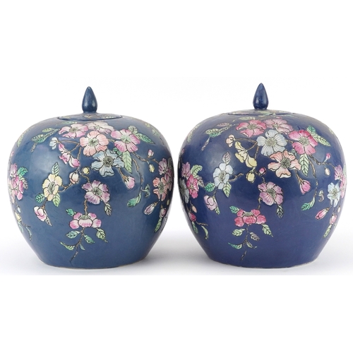 1555 - Pair of Chinese porcelain jars and covers hand painted with flowers, each 25.5cm high