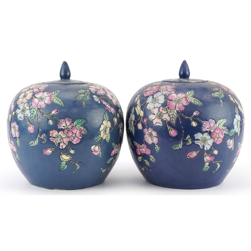 1555 - Pair of Chinese porcelain jars and covers hand painted with flowers, each 25.5cm high