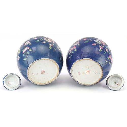 1555 - Pair of Chinese porcelain jars and covers hand painted with flowers, each 25.5cm high