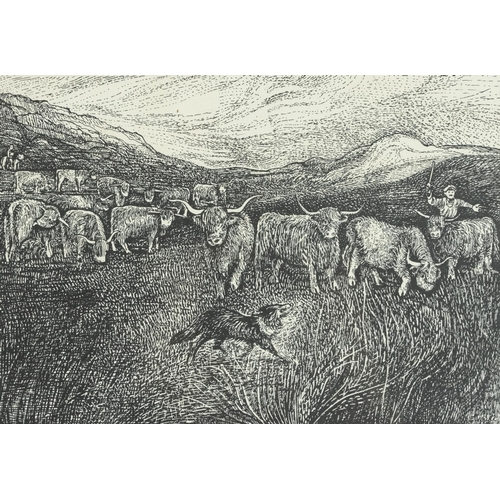 775 - Edna Whyte - Highland Life, four pencil signed woodcuts, framed and glazed, each 30cm x 23cm excludi... 