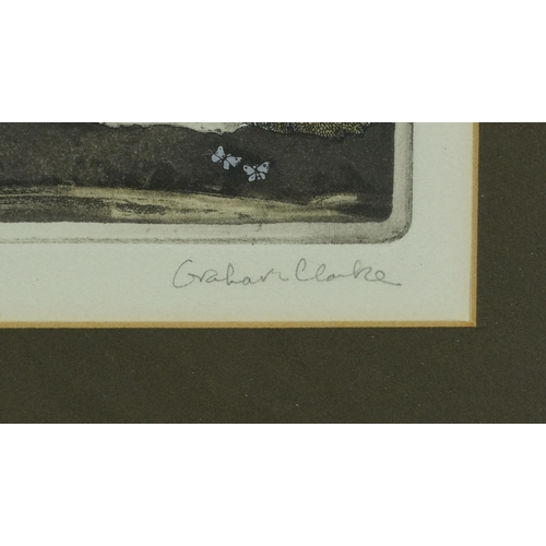 482 - Graham Clarke - Dewdrop, pencil signed coloured artist's proof etching, mounted, framed and glazed, ... 