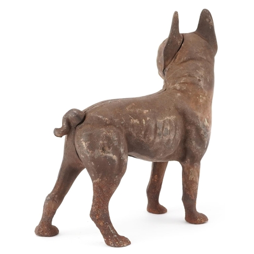 1478 - Cast iron French Bulldog, 25cm in length