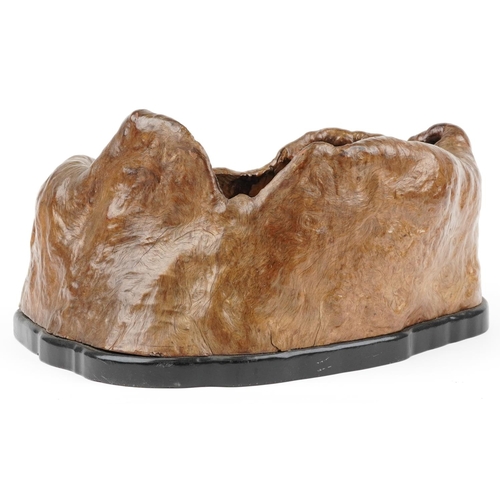 509A - Japanese burled elm Hibachi planter, 42cm wide