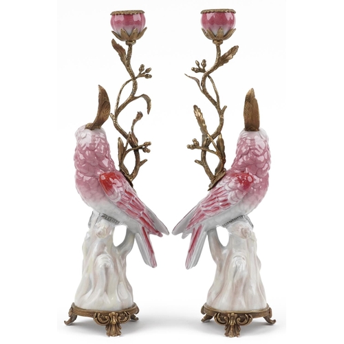 1372 - Pair of continental porcelain Cockatiel and gilt bronze candlesticks, 42cm high