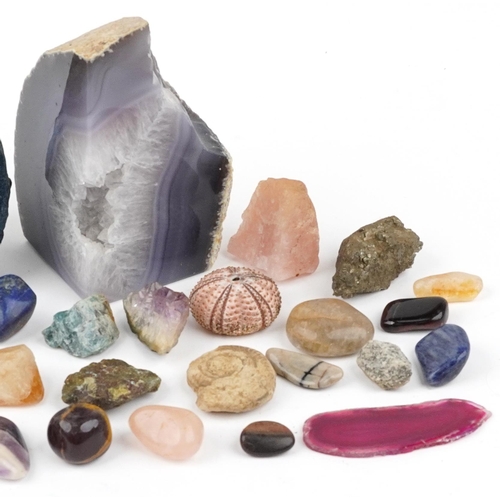 362 - Natural history and geology interest fossils and stone specimens including amethyst, crystal and fos... 