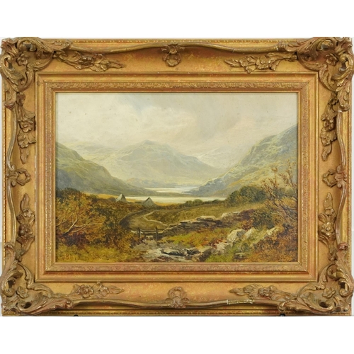 645 - Vale of Gandalough, 19th century Irish school oil on canvas bearing an indistinct monogram, inscribe... 