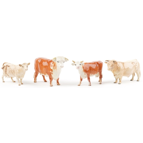 684 - Four Beswick collectable cows including Charolais cow and Hereford bull, the largest 24cm in length