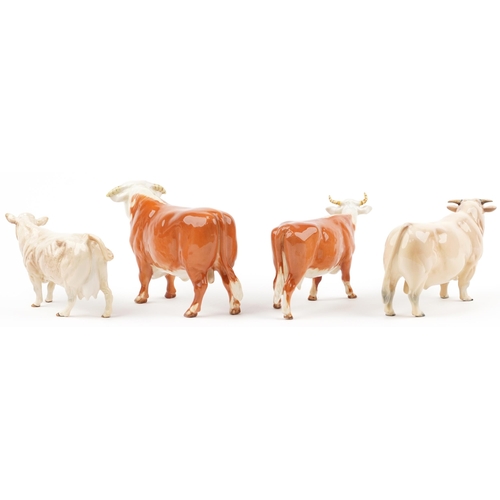 684 - Four Beswick collectable cows including Charolais cow and Hereford bull, the largest 24cm in length