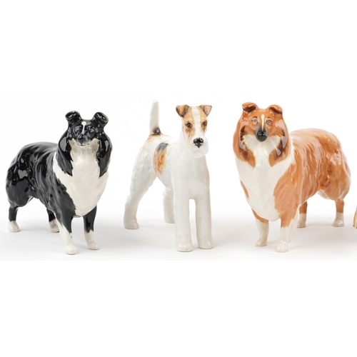 679 - Six Beswick collectable dogs including two Lochinvar of Lady Park Collies and King Charles Spaniel, ... 