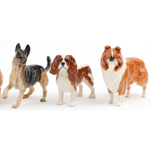 679 - Six Beswick collectable dogs including two Lochinvar of Lady Park Collies and King Charles Spaniel, ... 