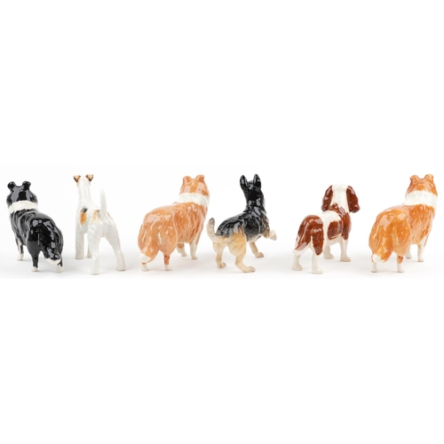 679 - Six Beswick collectable dogs including two Lochinvar of Lady Park Collies and King Charles Spaniel, ... 