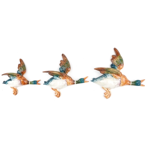 172 - Graduated set of three Beswick Mallard wall plaques numbered 596-1, 596-2 and 596-3, the largest 25c... 