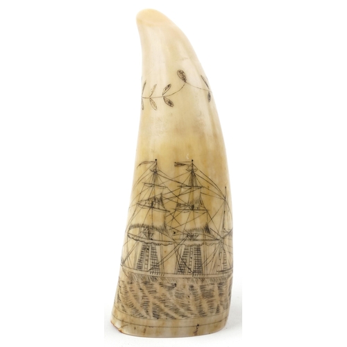 Antique sailor's scrimshaw whale's tooth engraved with whalers beside a rigged ship inscribed South Where Those Whale Fish Blow, 8.5cm in length