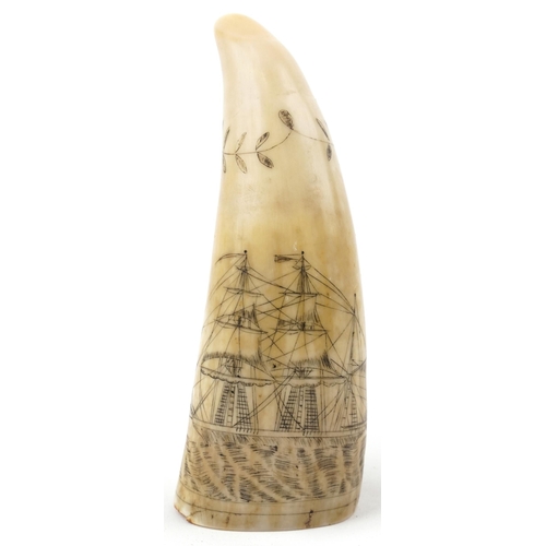 376 - Antique sailor's scrimshaw whale's tooth engraved with whalers beside a rigged ship inscribed South ... 