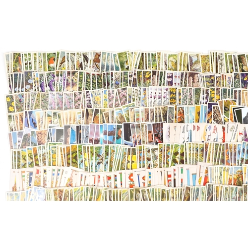 1795 - Extensive collection of cigarette cards including Brooke Bond Asian Wildlife, Carreras Film Stars an... 